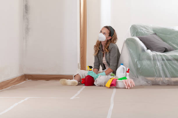Reliable Mold Cleanup contractor in Keansburg, NJ by Cheap Mold Removal